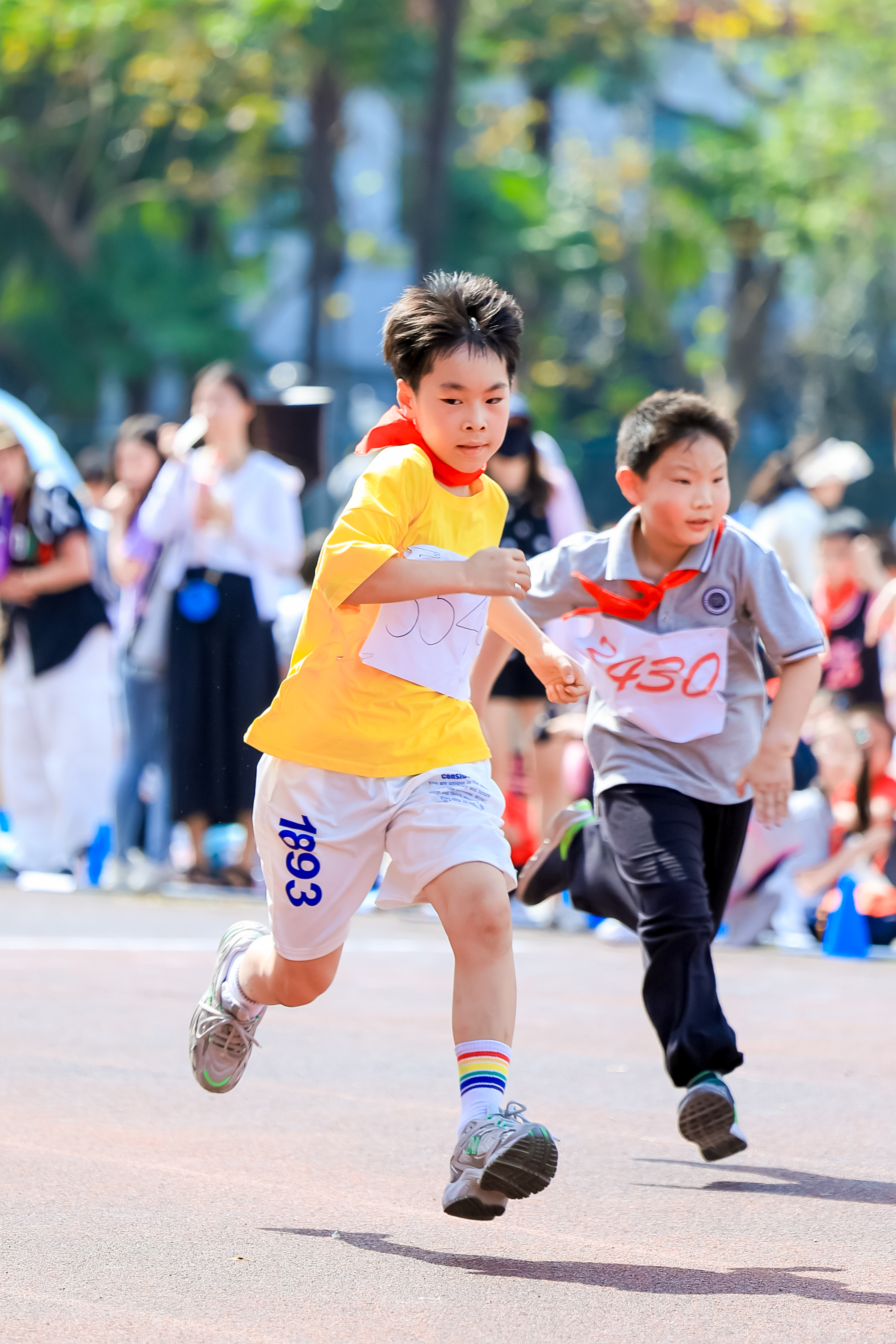 C80A2238__28432913.jpg